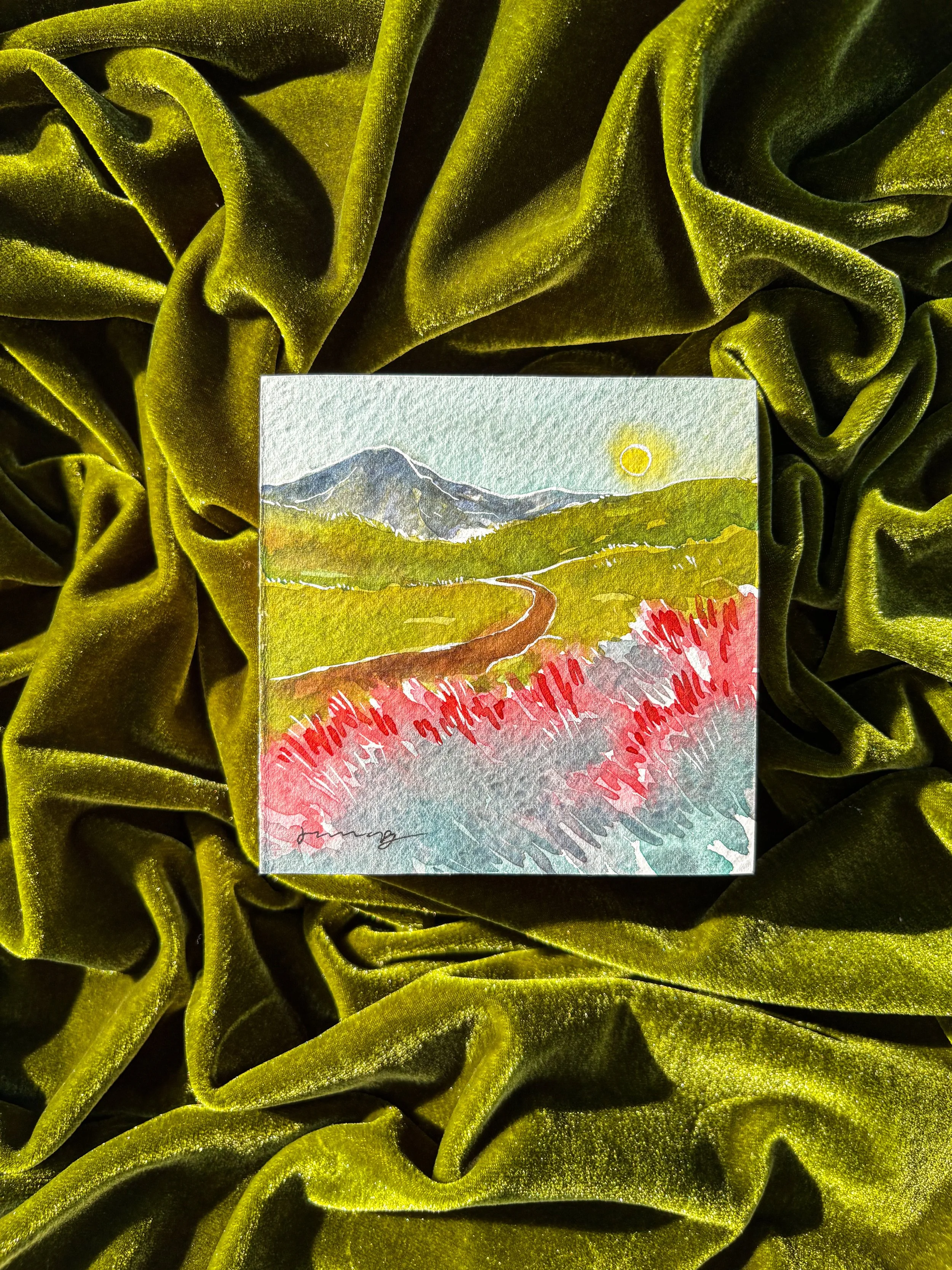 Wildflowers by the Mountains