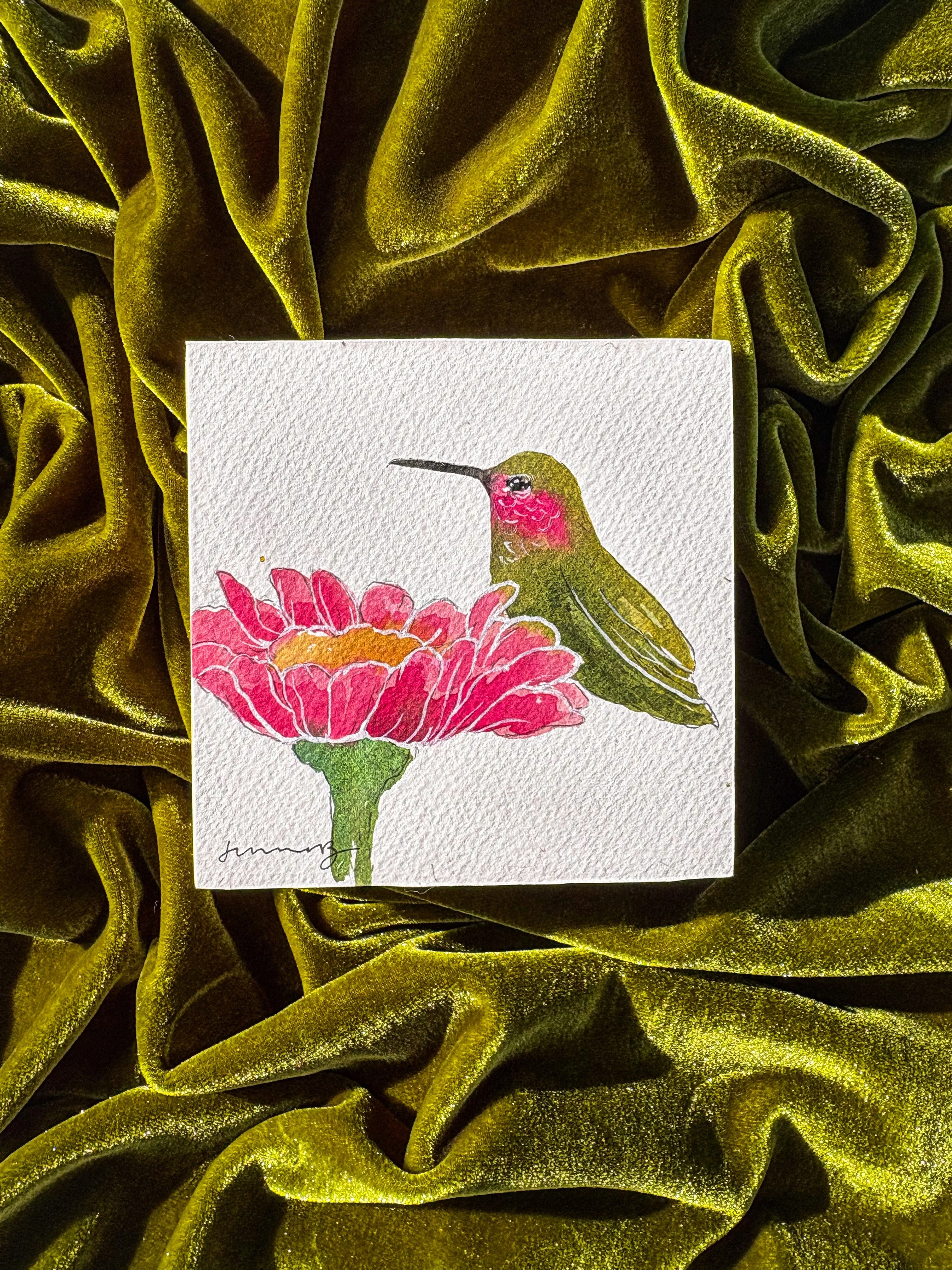 Hummingbird and Daisy