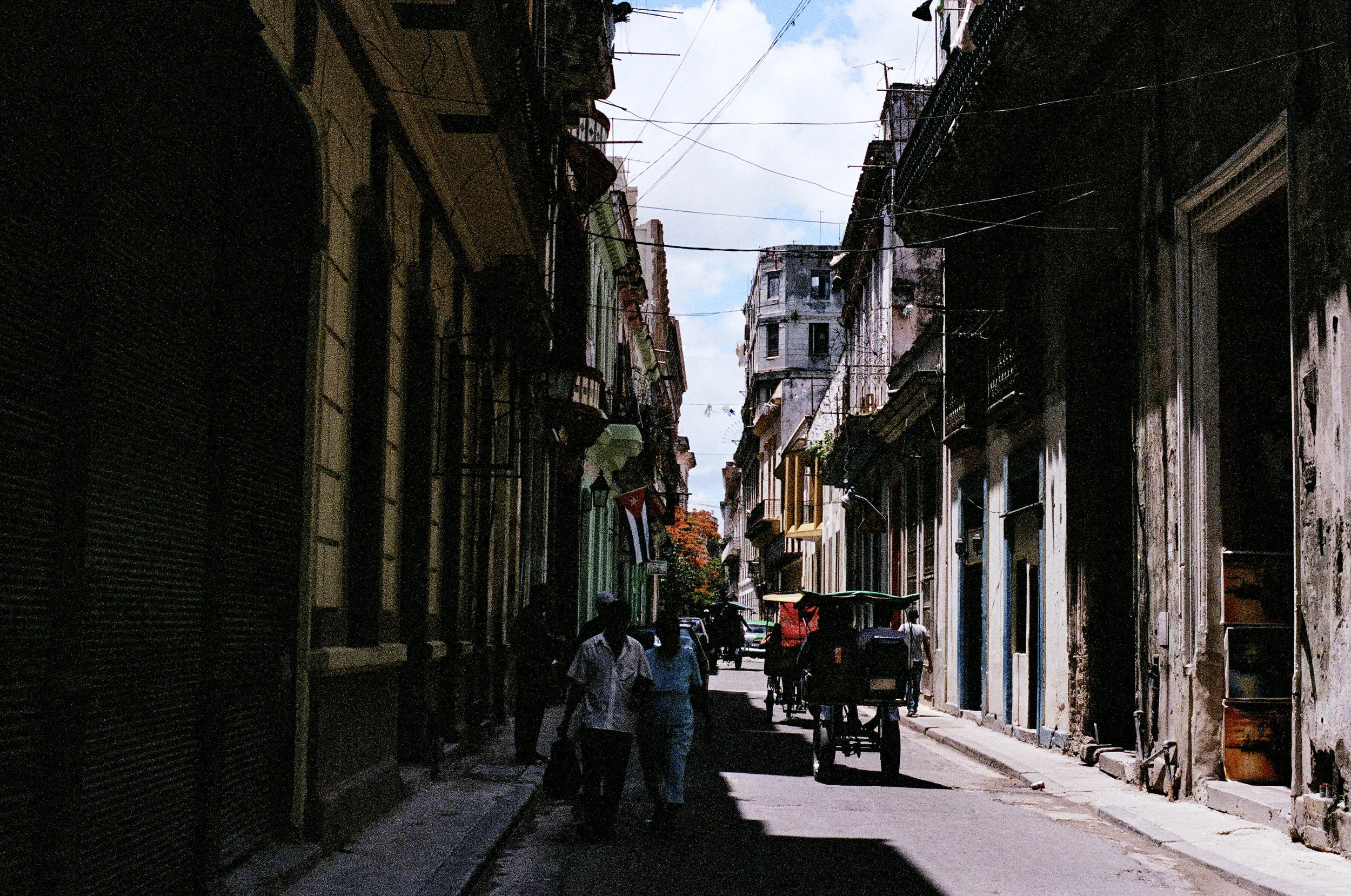 71610019.jpg