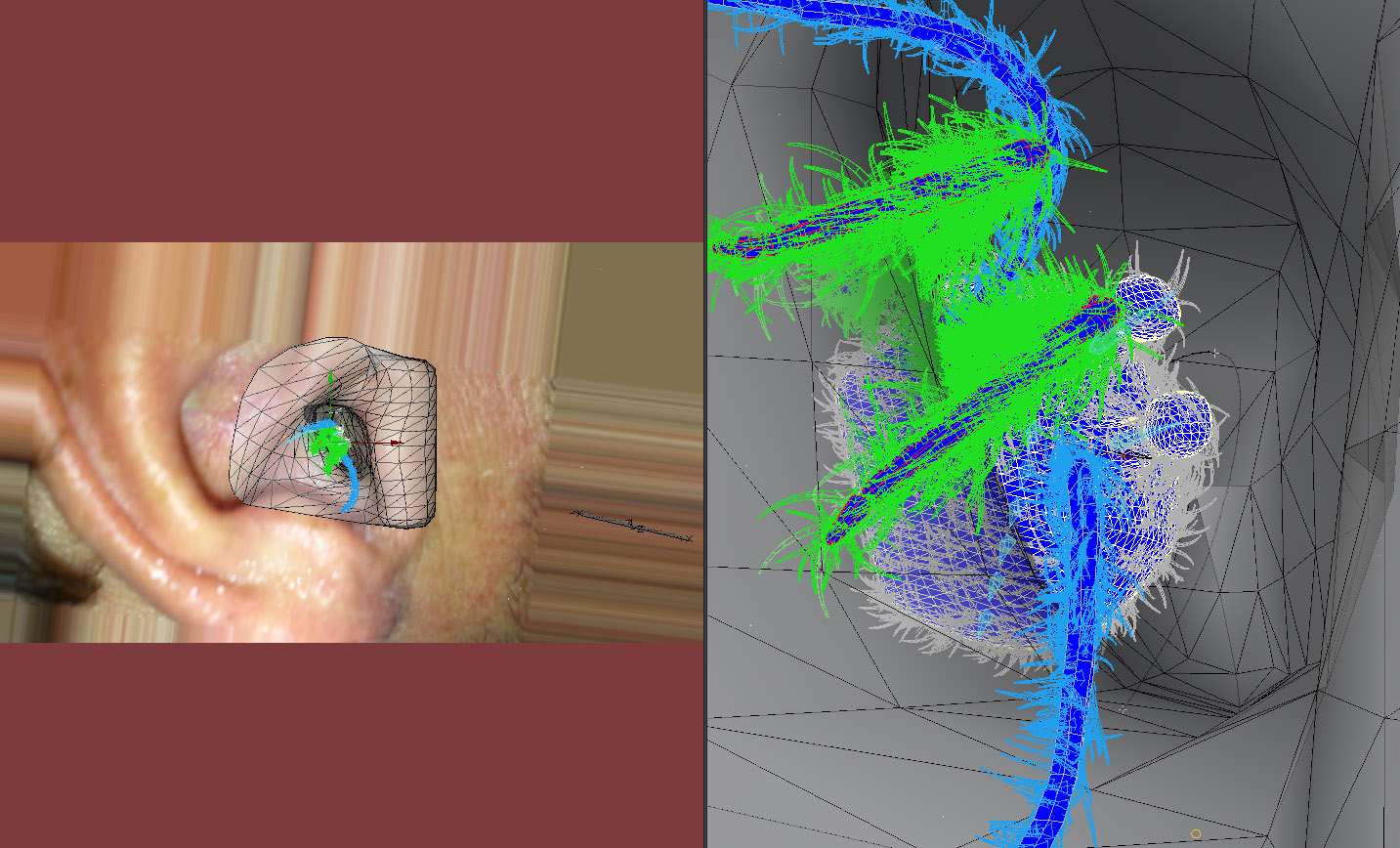 EarSpiderWireFrame.jpg