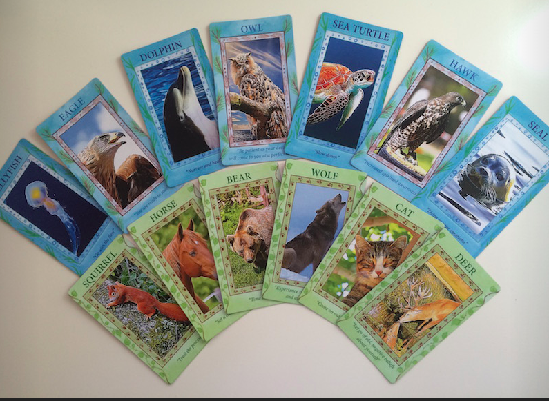 Visit the Gamecrafter site to see The Animal Spirit Deck created by student Andi Rondestvedt "WOW, thank you so much Mellie for this course - I had a great time!! Feels amazing when you hit the publish button!! Thank you! Thank you! Thank you! I never used Photoshop before and know I'm not so good at technical stuff. That's how GREAT this course is! BIG HUG."
