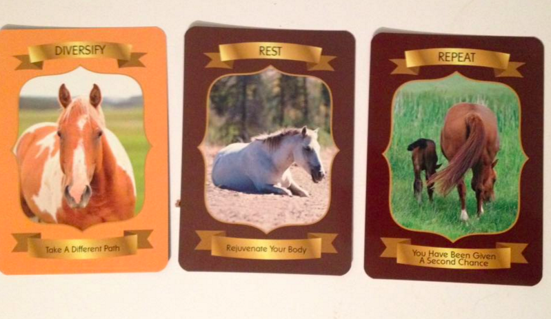 Equine Enlightenment Oracle Deck by student Robyn Louise "I just ordered myself a copy of my deck of cards... I am beyond excited to hold them in my hands and I am happy to say once I actually sat down to do them, it wasn't that hard at all!"