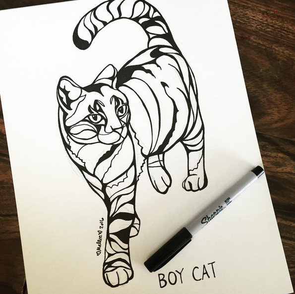 boycat.png