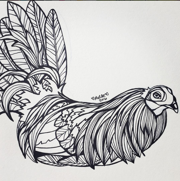 Rooster Illustration