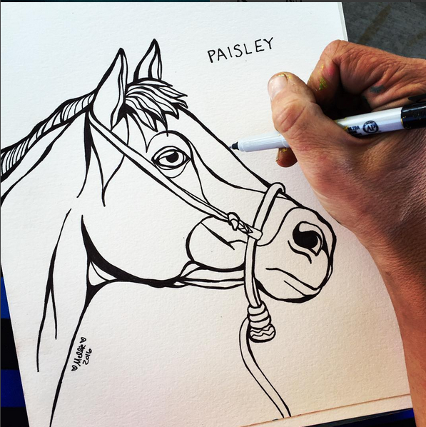 Paisley Horse Illustration