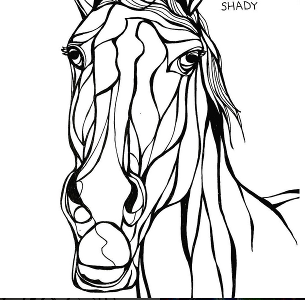 shady.png