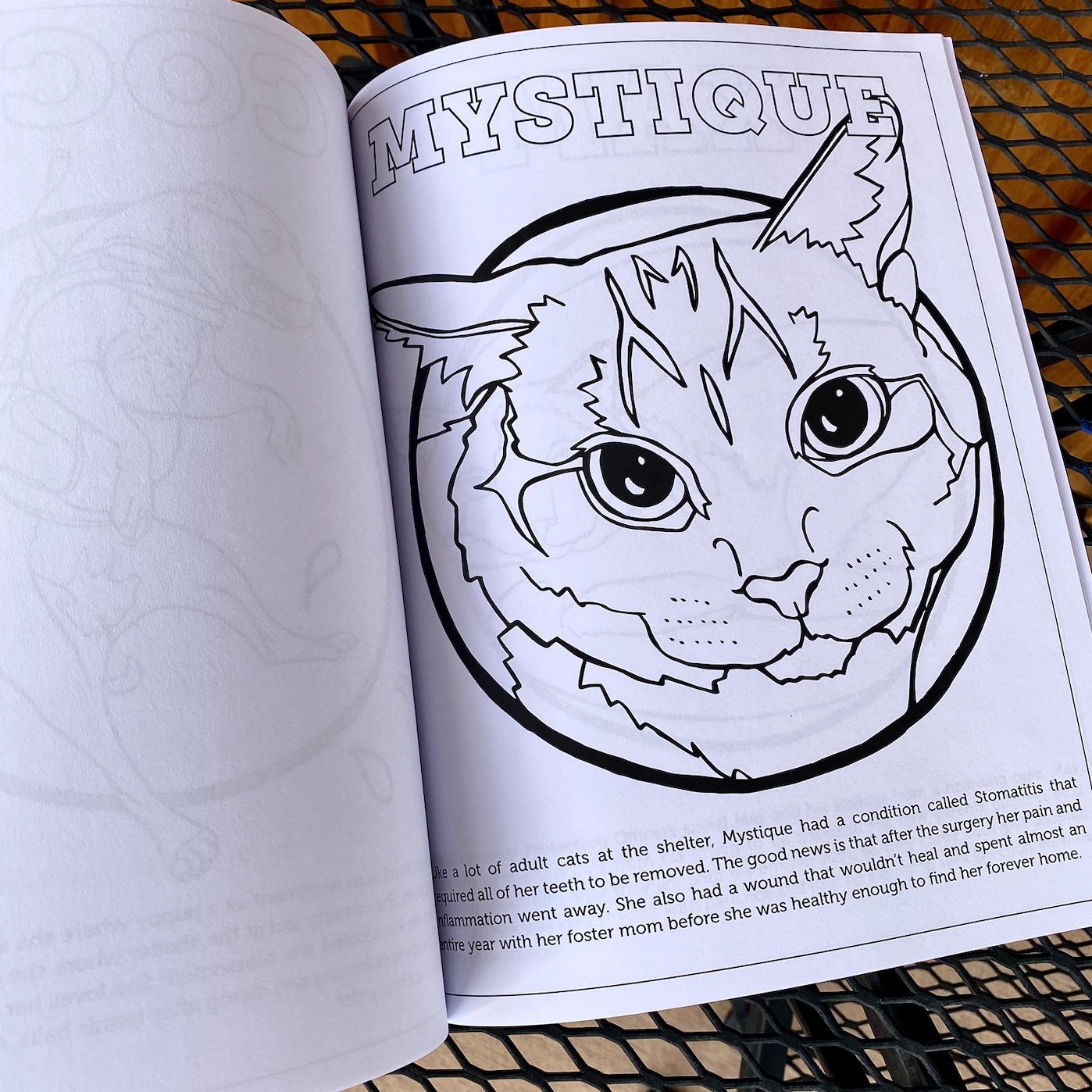 Friends of PACC Animal Shelter Coloring Book