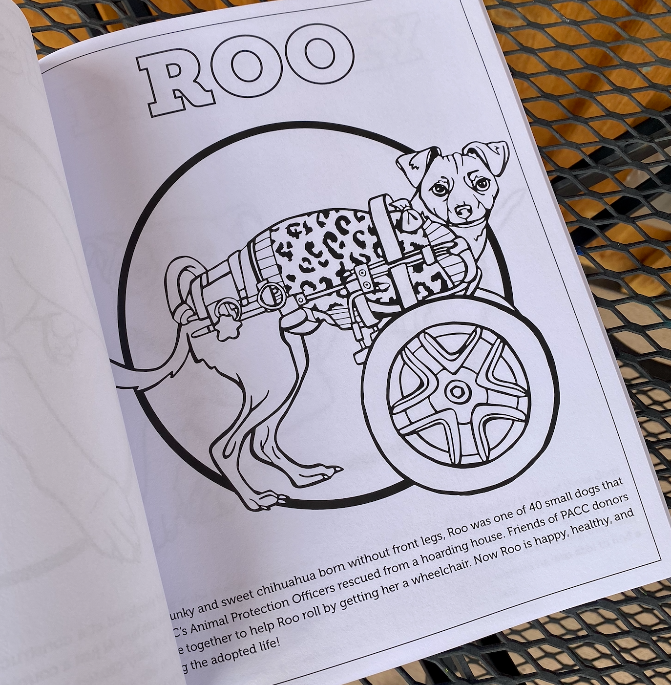 Friends of PACC Animal Shelter Coloring Book