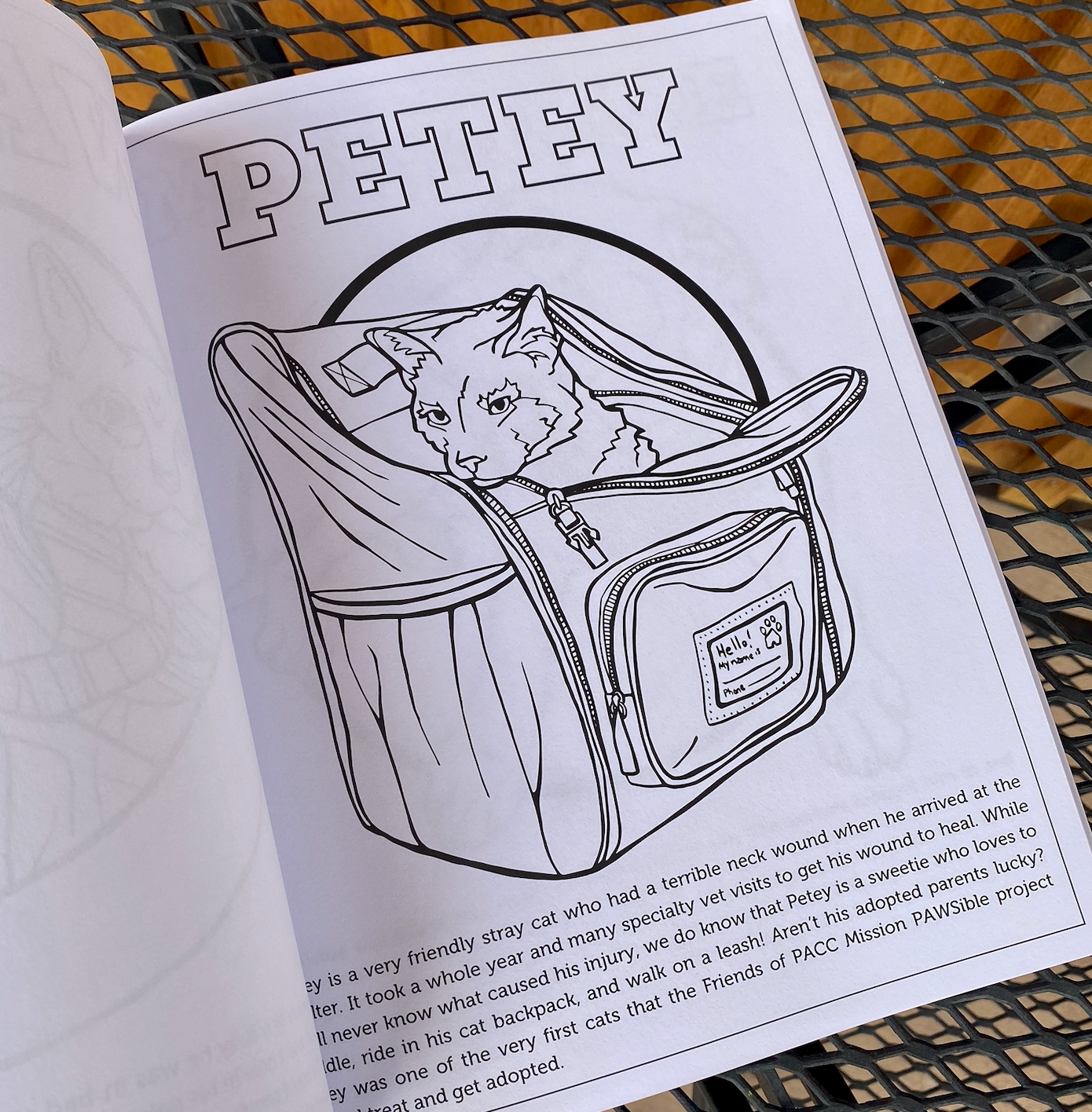 Friends of PACC Animal Shelter Coloring Book