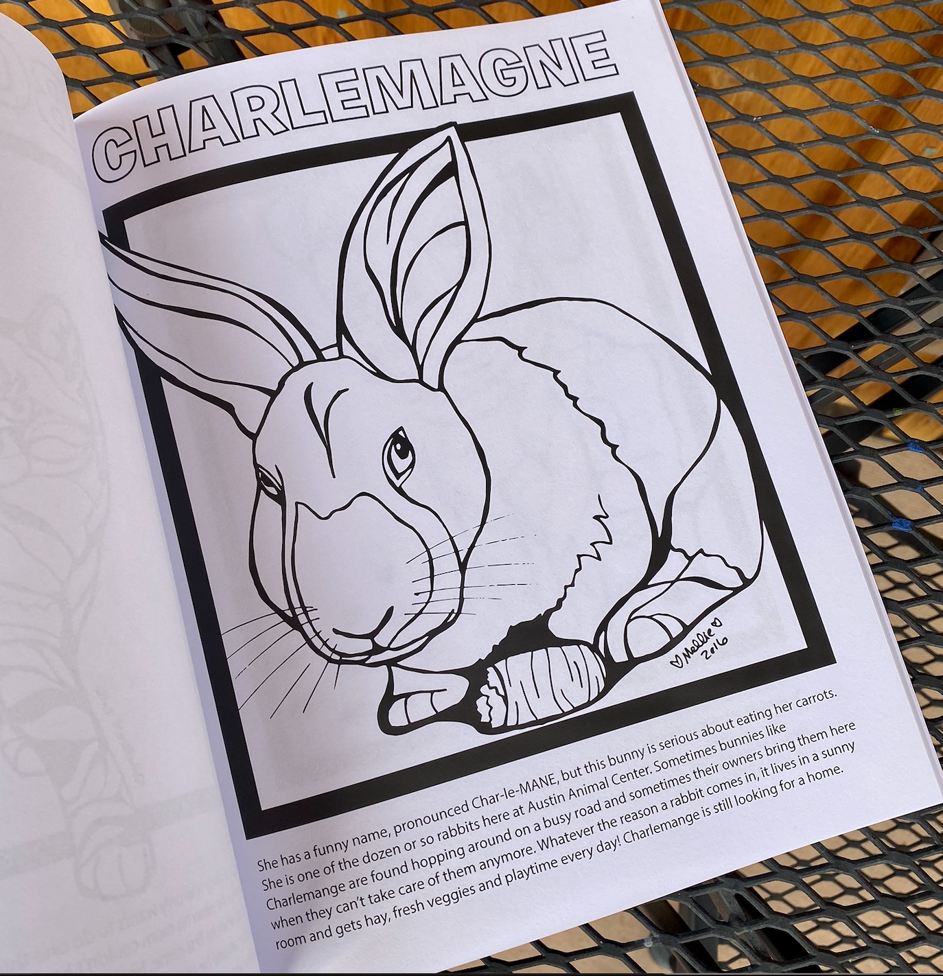 Coloring Austin Animals: Animal Shelter Coloring Book Illustration Commission