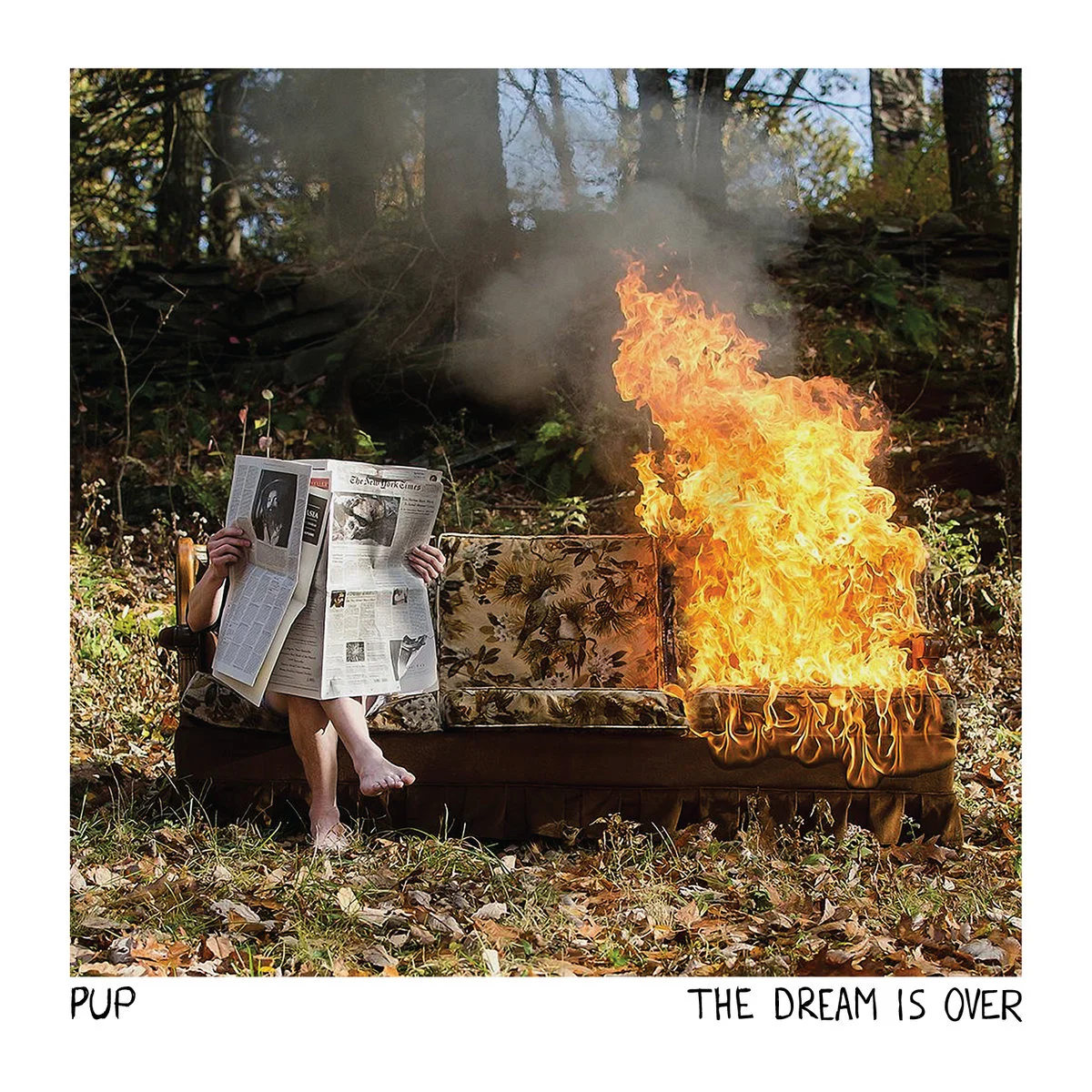 PUP-dream.jpg