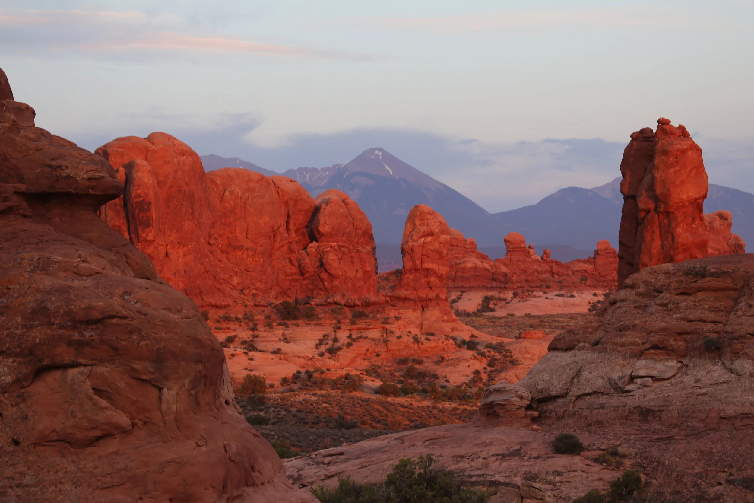 Awakening - Fabrice Poussin.JPG