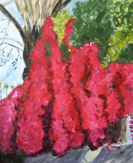 Bouganvillea after the rain-rev.jpeg