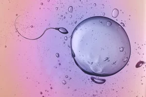 Optimize Your Fertility- 10 Essential Tips