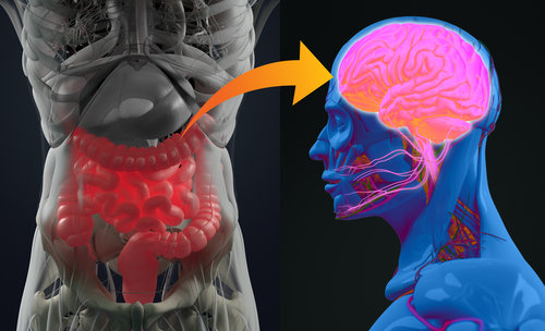 The Relationship Between Emotions and Internal Organs