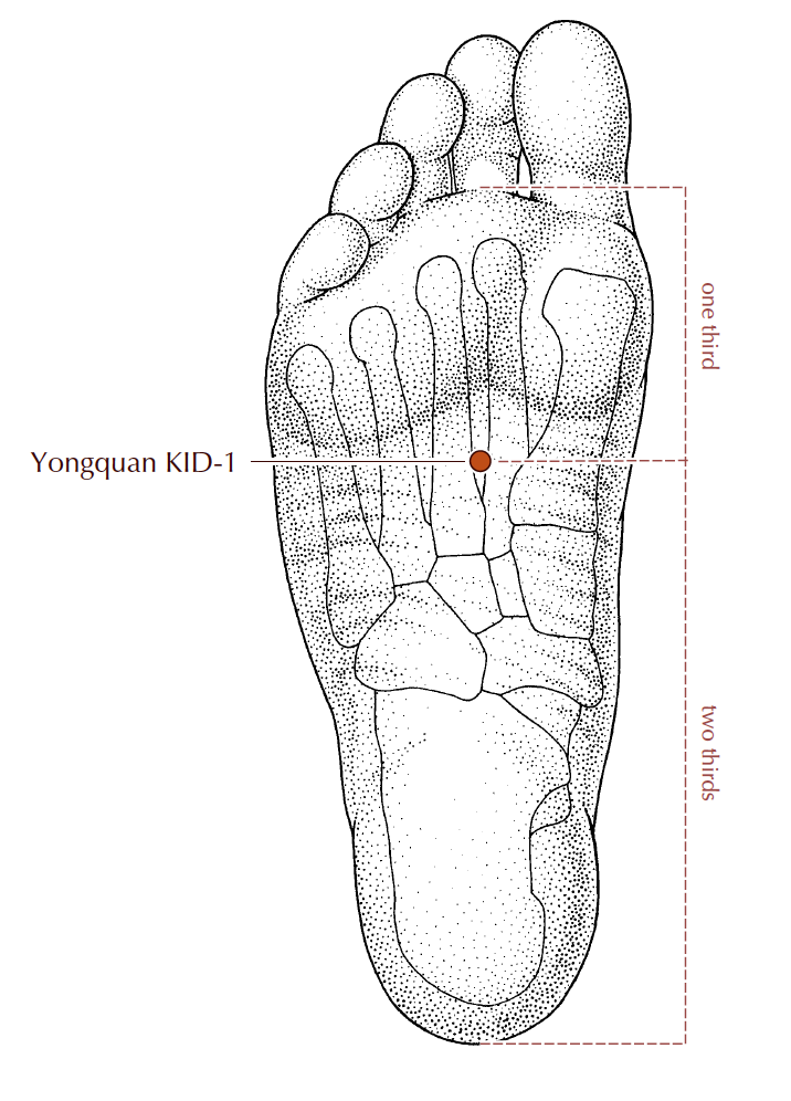 5-KD1.png