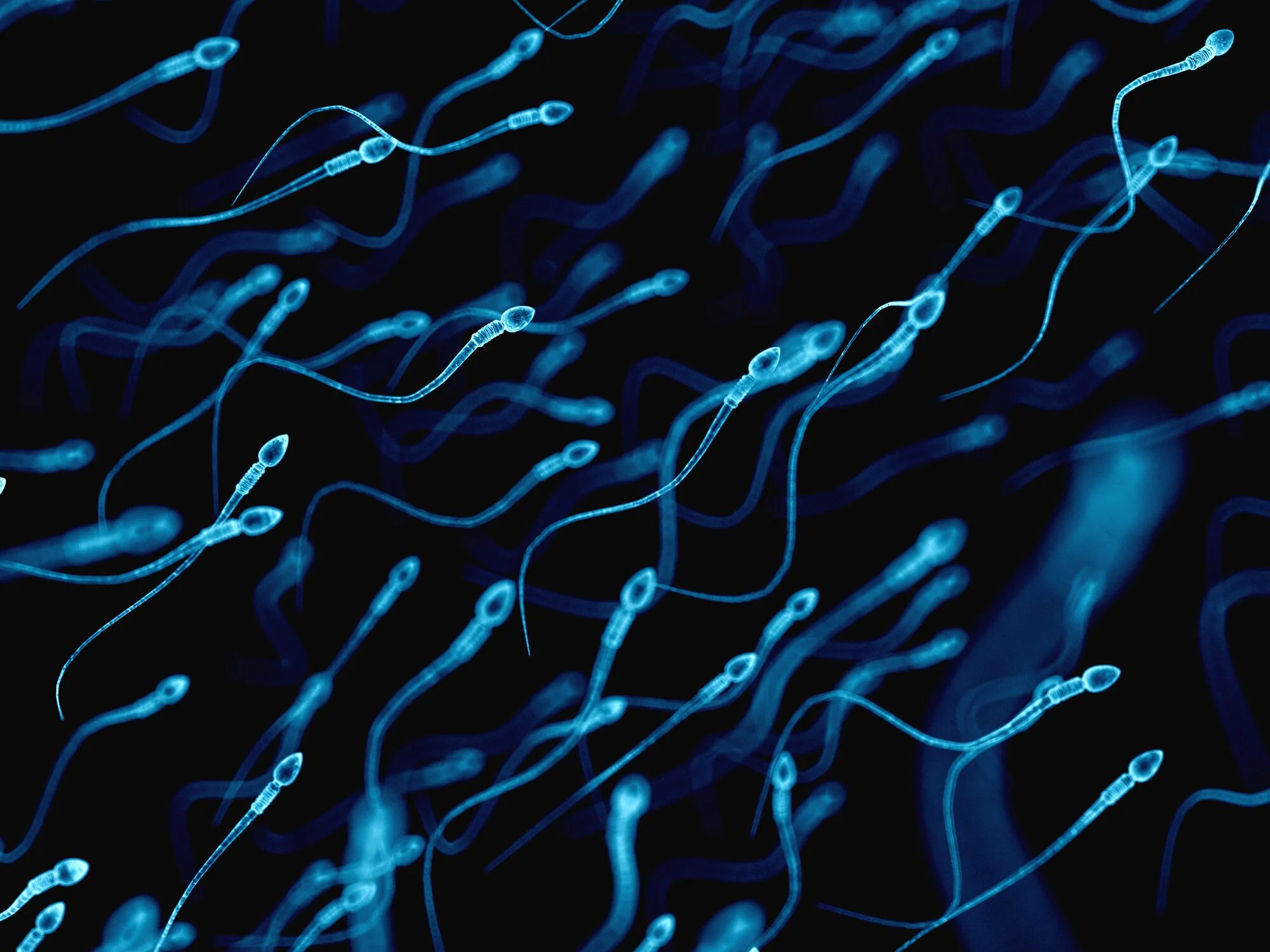 Understanding Semen Analysis