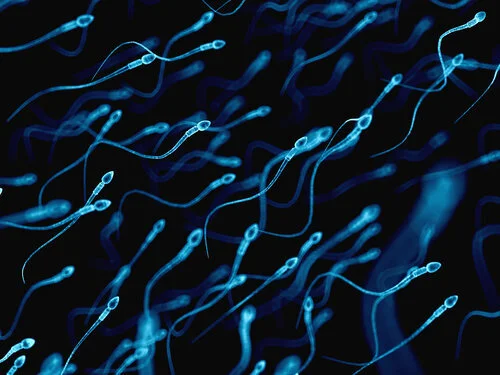 Understanding Semen Analysis