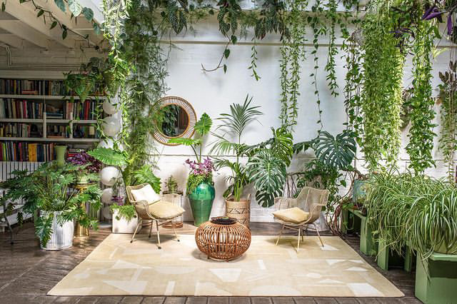 1920's in situ: Clapton Wearhouse London