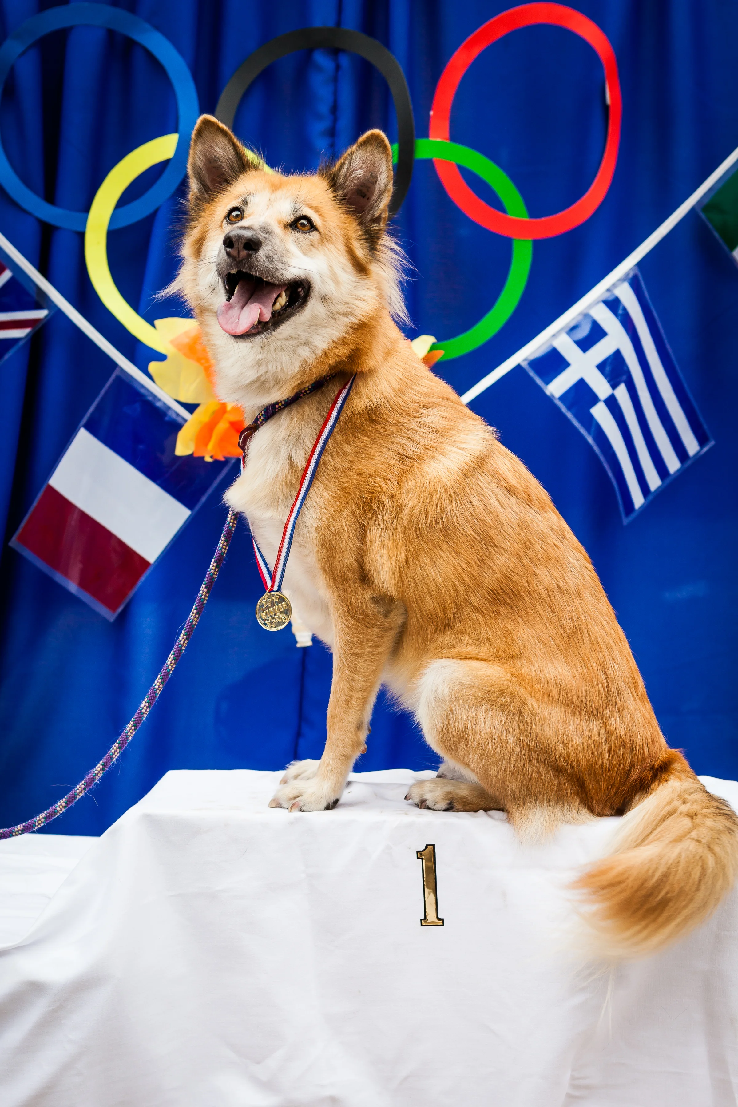 Olympics Photobooth-22.jpg