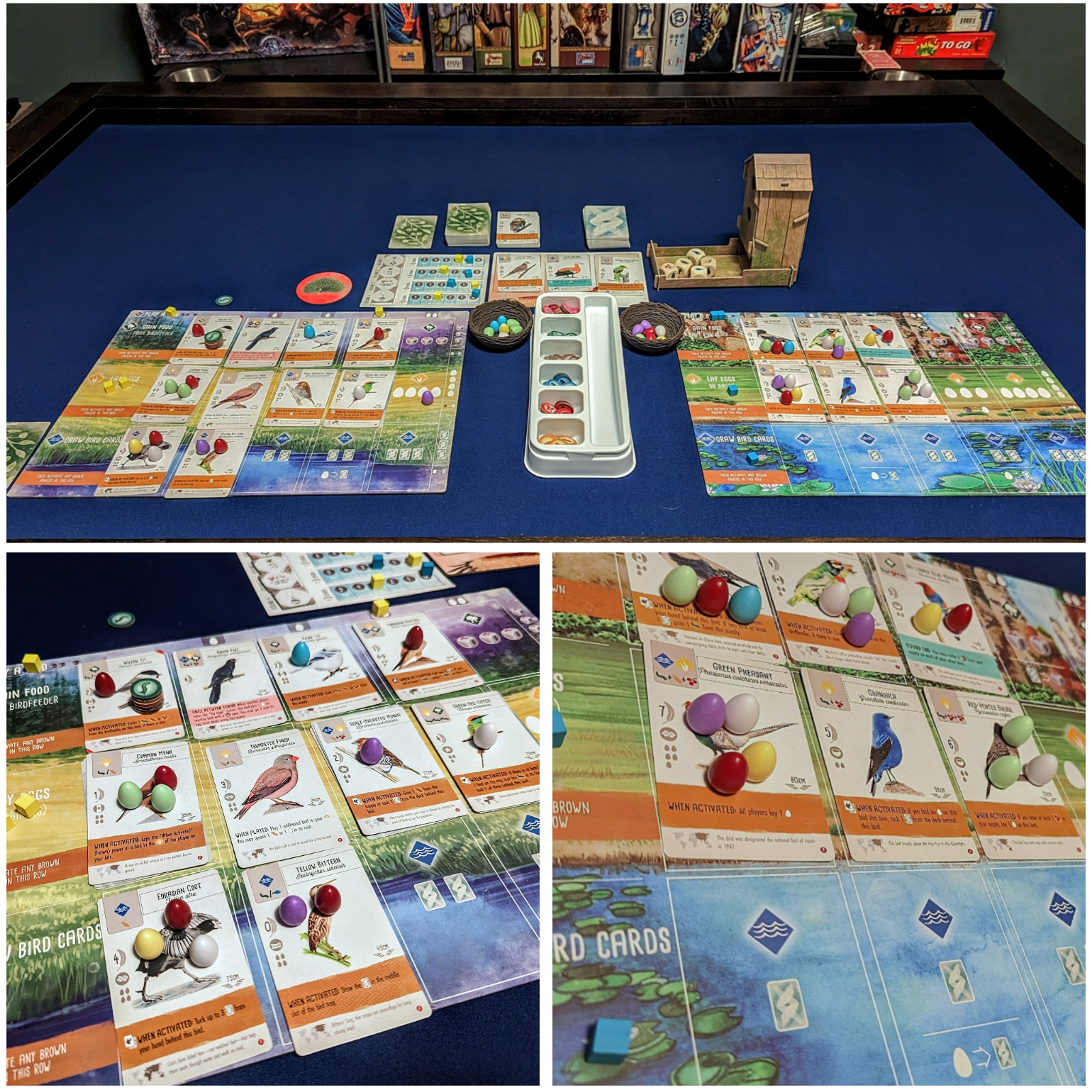 Favorite Board Games I played in 2023 - Wingspan