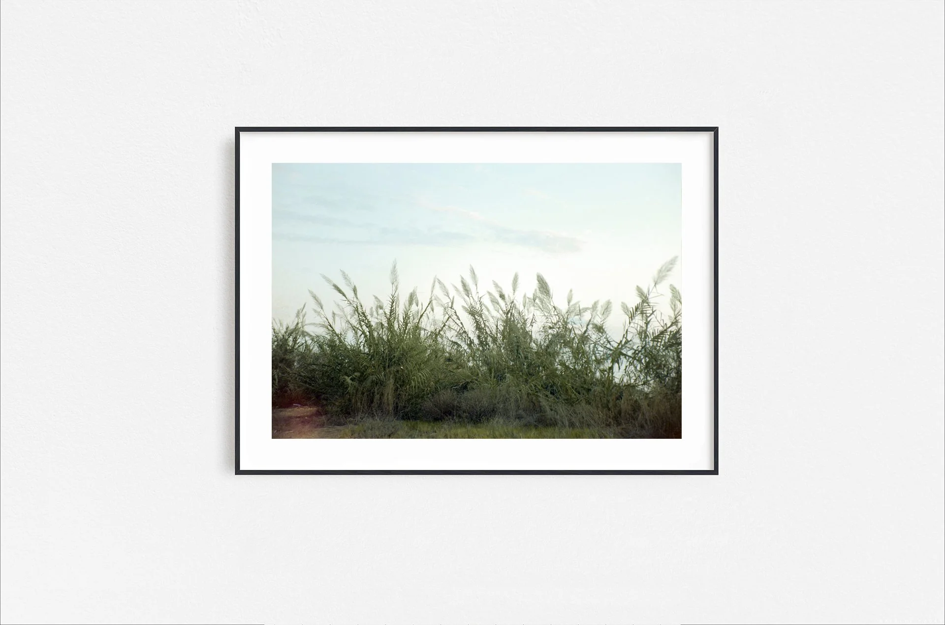 Walid Rashid_FineArtPrints_seabreeze_blackframe.jpg