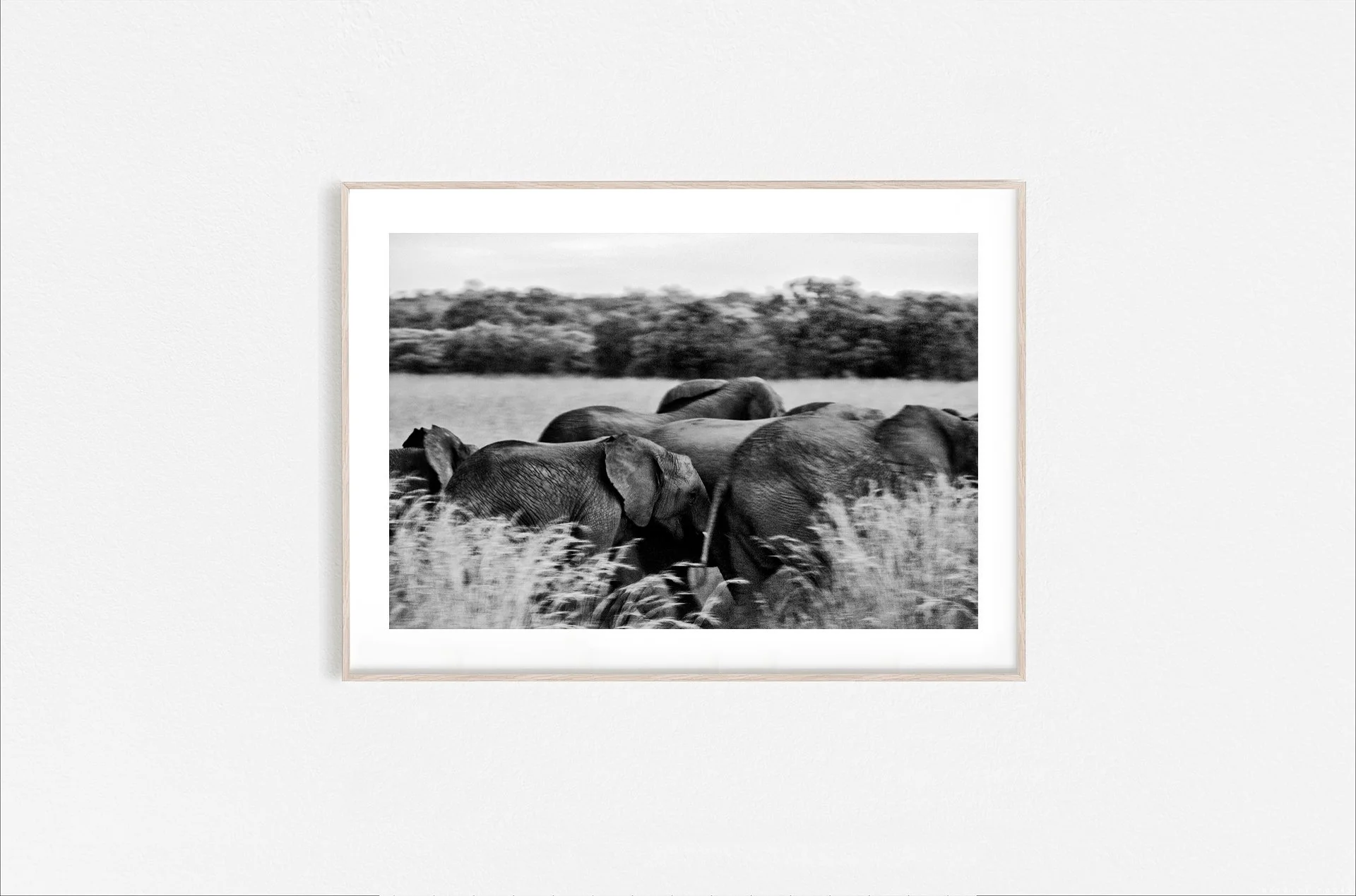 Walid Rashid_FineArtPrints_notleftbehind_Wooden.jpg