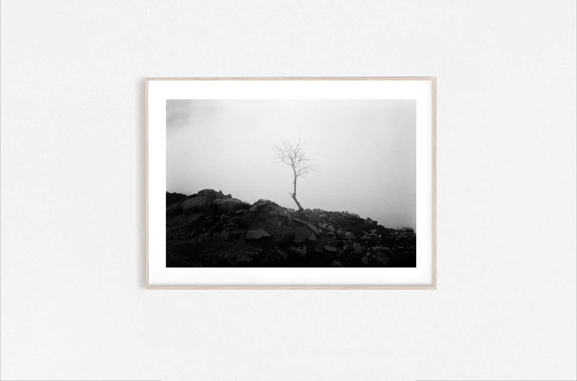 Walid Rashid_FineArtPrints_AloneInTheFog_Wooden.jpg