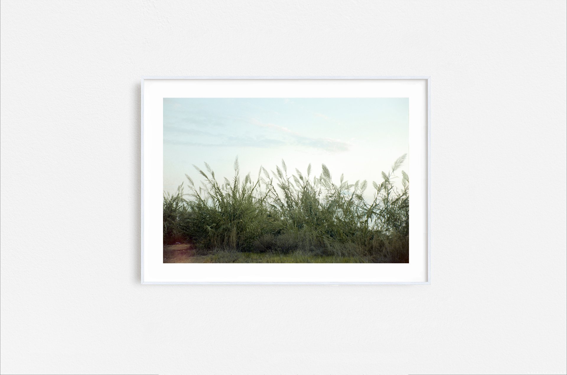 Walid Rashid_FineArtPrints_seabreeze_white frame.jpg