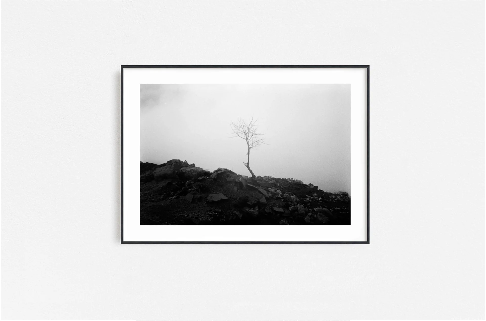 Walid Rashid_FineArtPrints_Alone In the Fog_blackframe.jpg