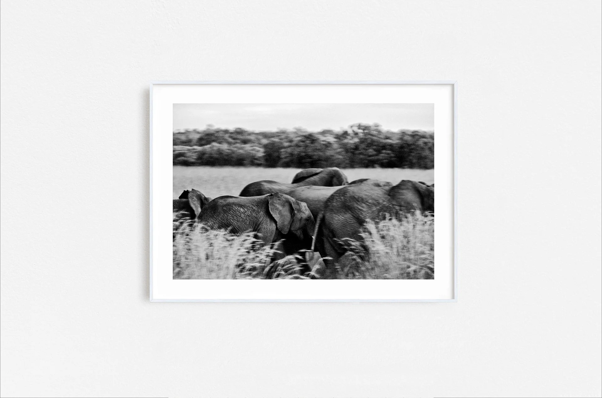 Walid Rashid_FineArtPrints_notleftbehindnd_white frame.jpg