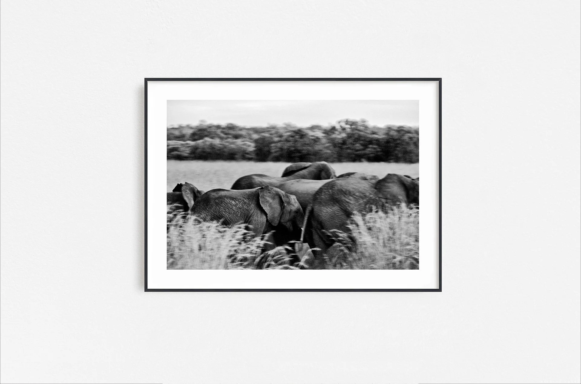 Walid Rashid_FineArtPrints_notleftbehind_blackframe.jpg