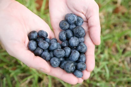 Sacred-Source-Nutrition-Services.jpg