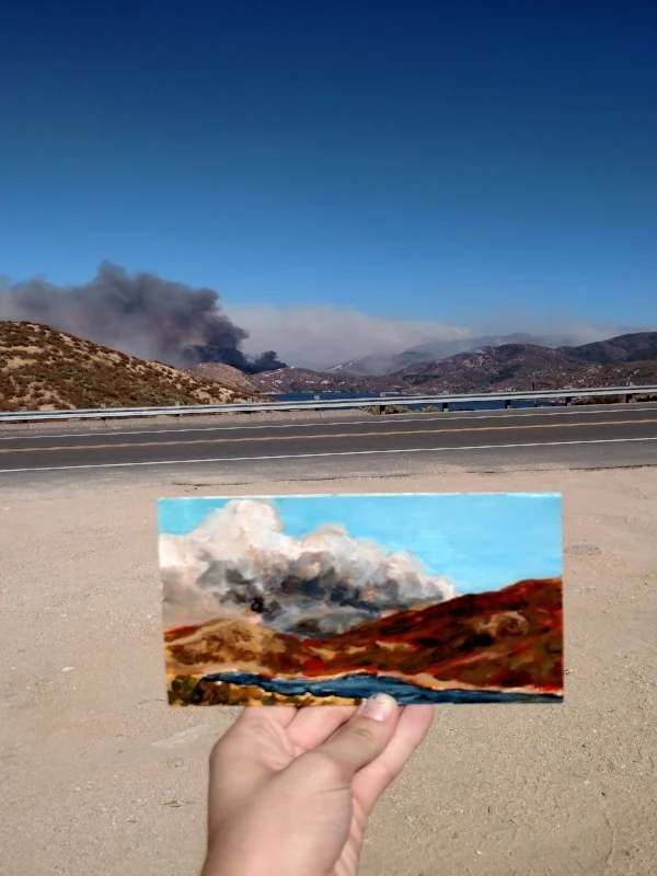 PilotFirepaintinginavan.jpg