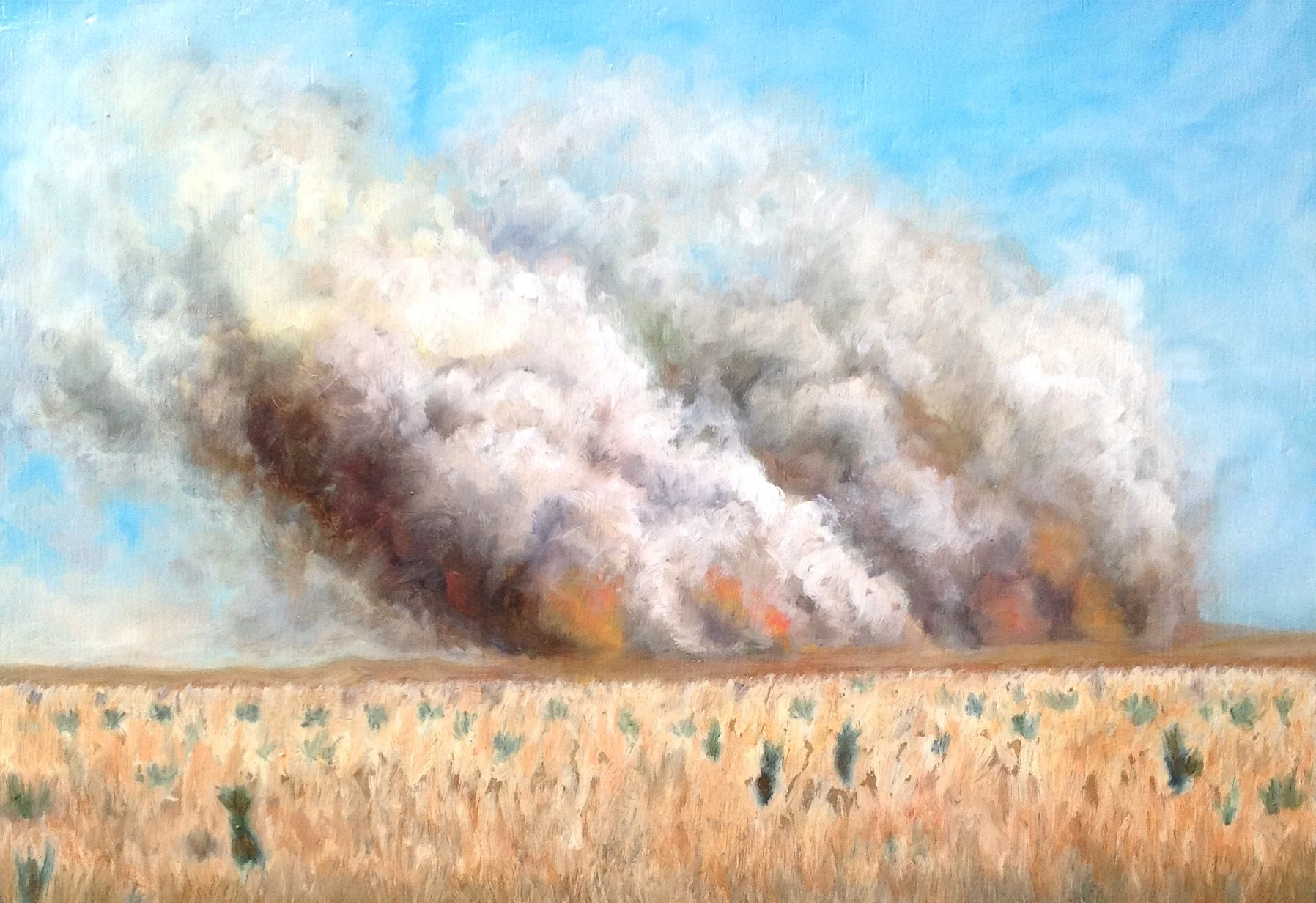 Burning Prairie oil on panel 9x13 2011 .jpg