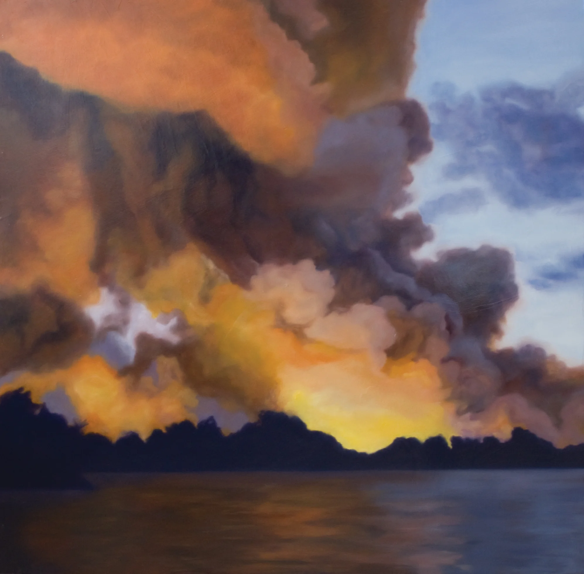 Fire By The Lake 2010.jpg