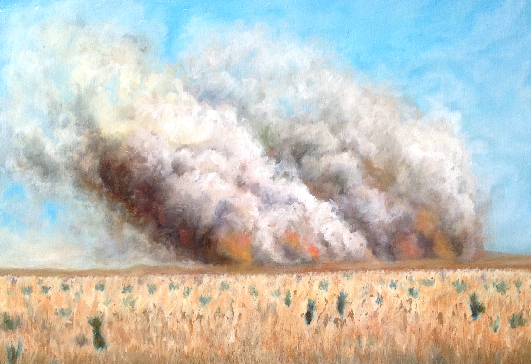 Burning Prairie oil on panel 9x13 2011 .jpg