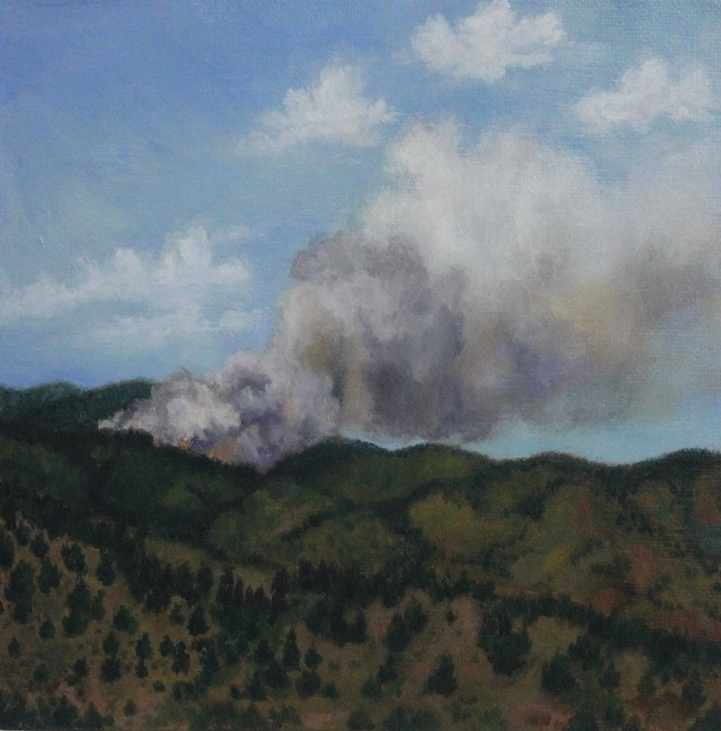 Threatened Range 2013 8x8'' acrylic.JPG