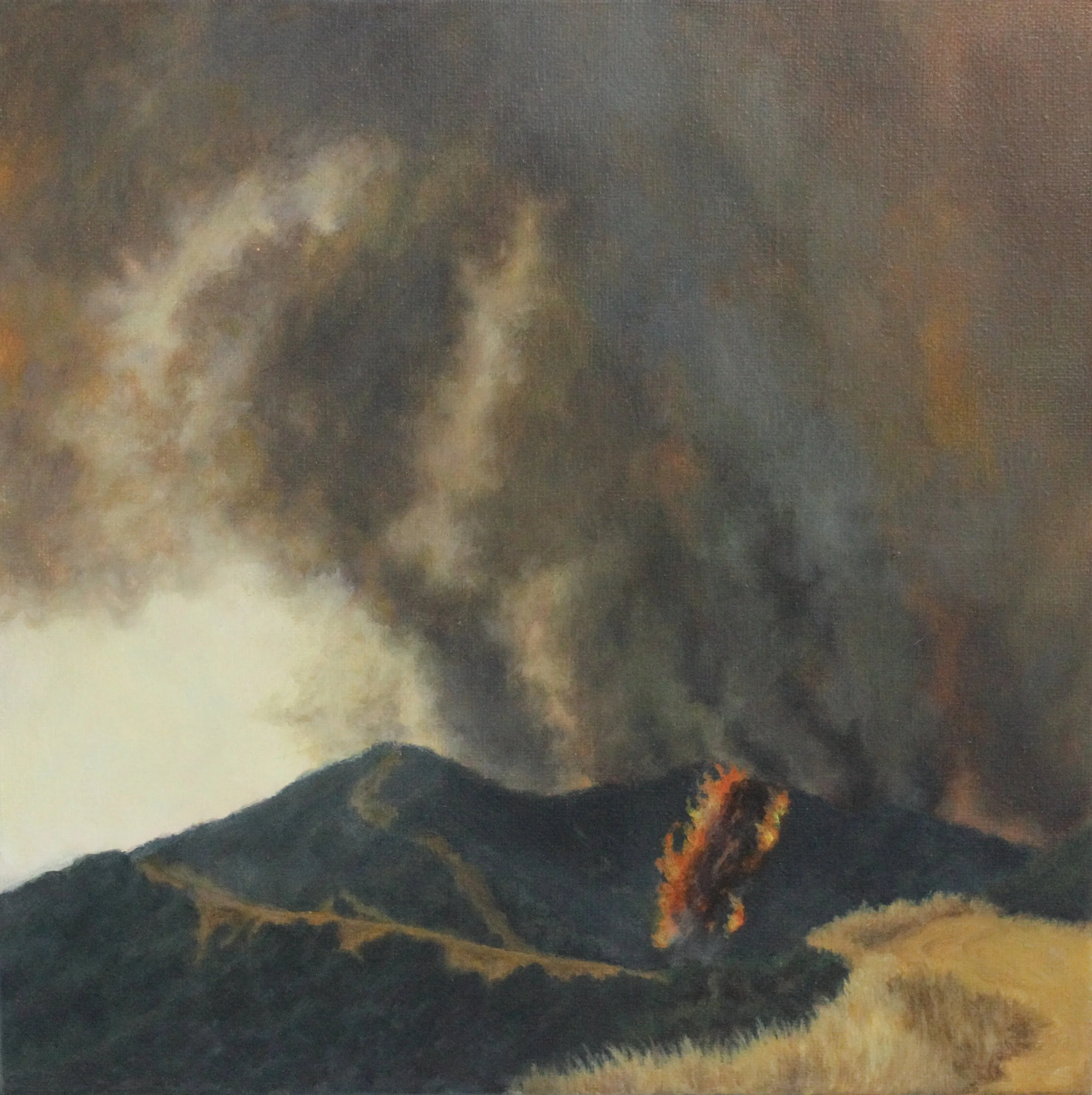 Ridgeline Blaze 2013 12x12'' acrylic.JPG