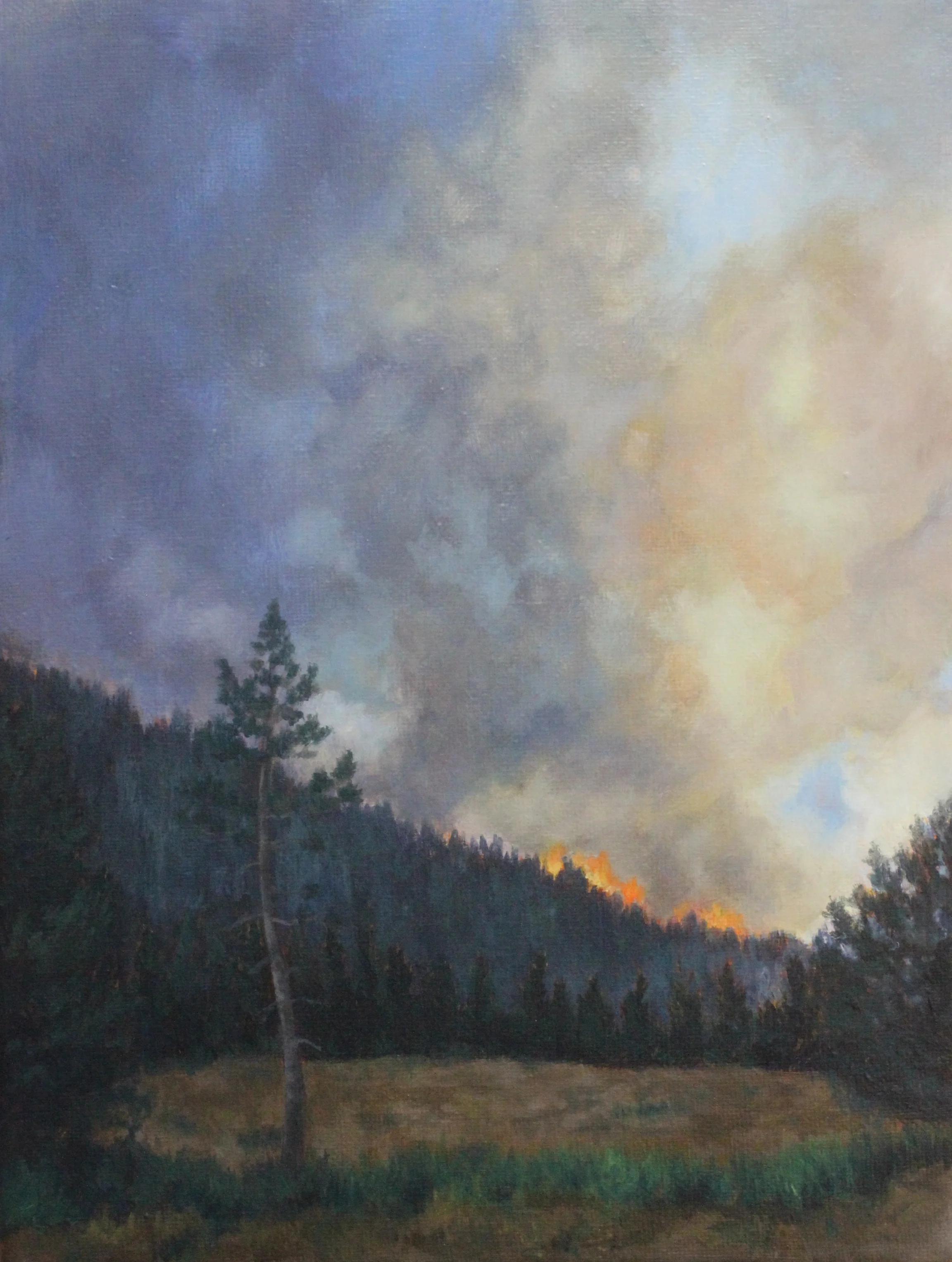 Hillside Flames 2013 9x12''.JPG
