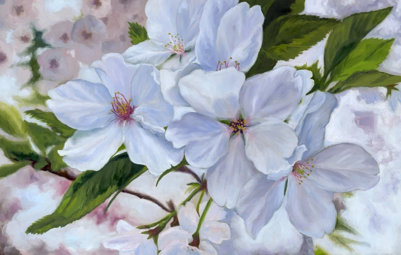 sakura group closeCleanED1 copy 3 Large.jpeg