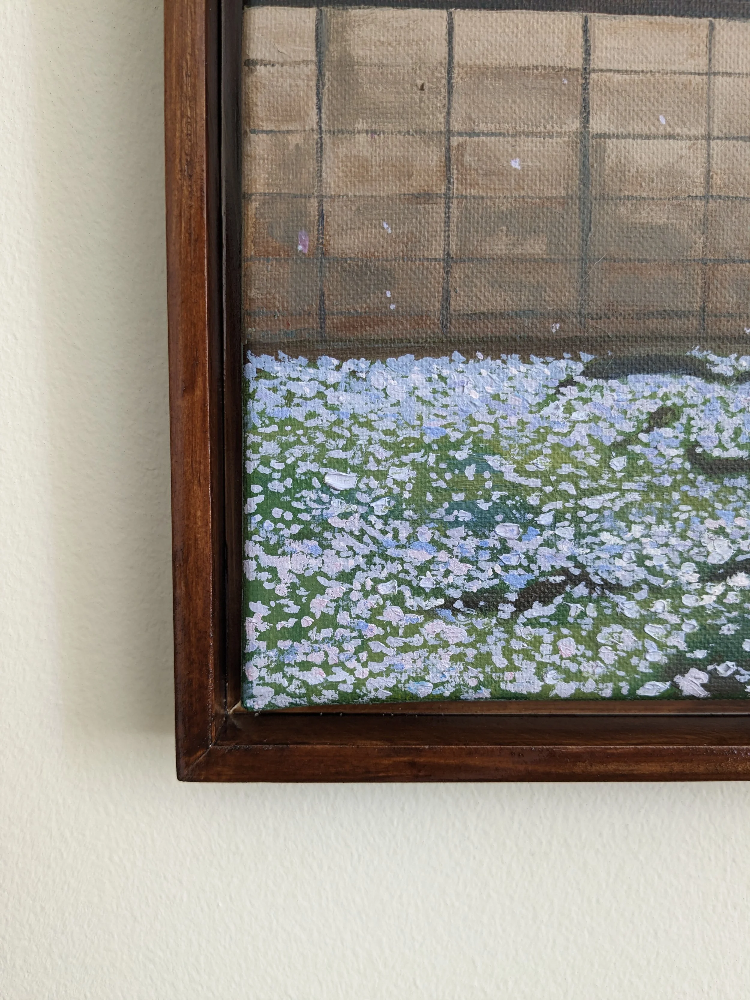cherry blossom petals