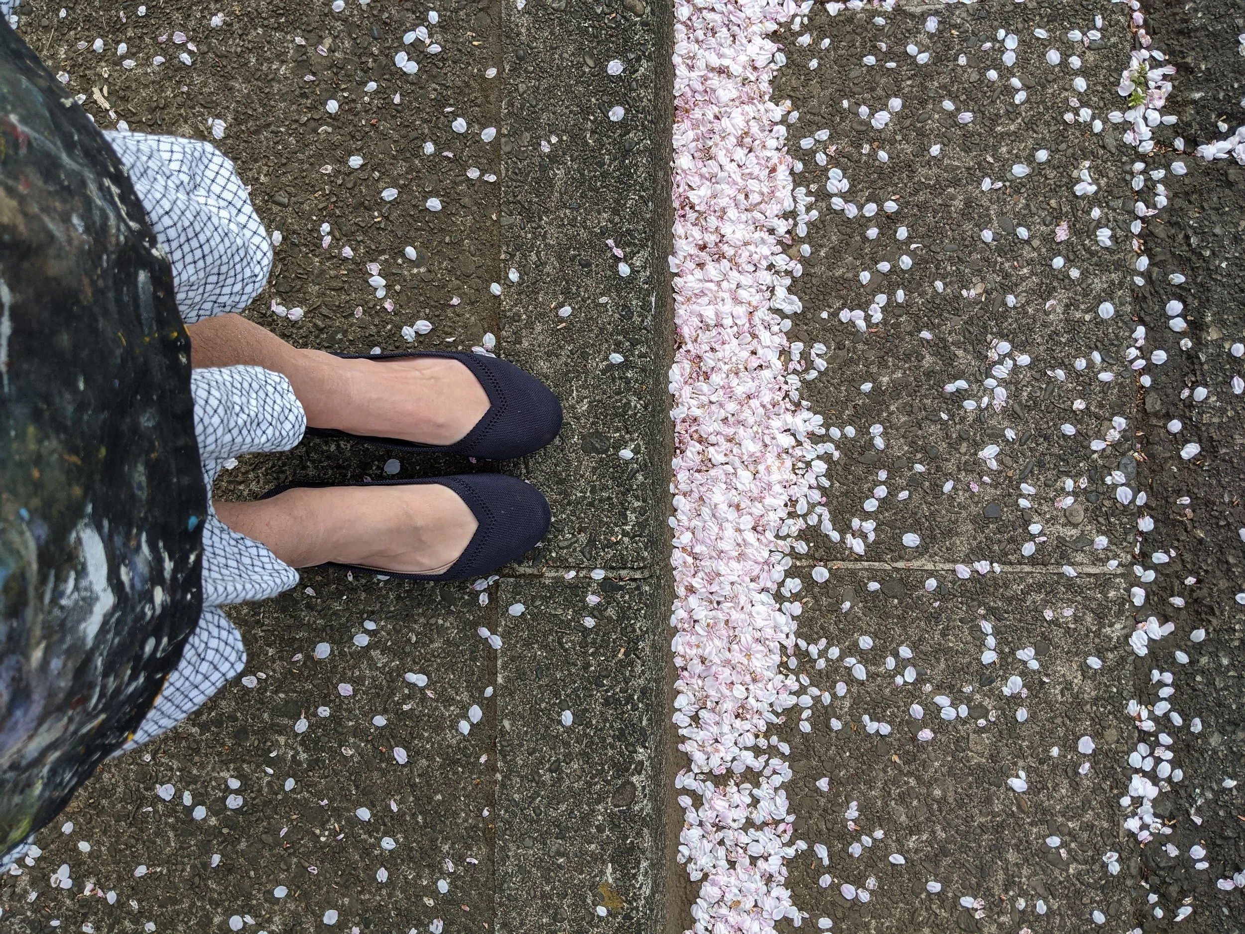 Anna feet and Sakura petals.jpg