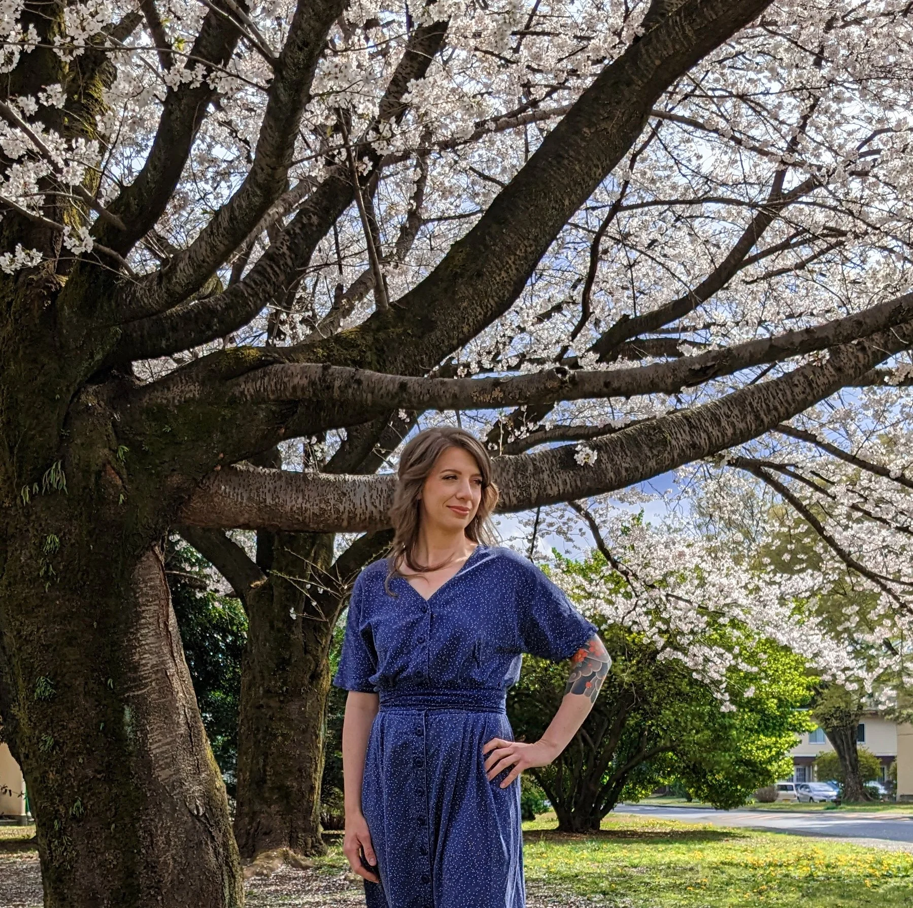 annastasha under the Sakura treeED.jpg