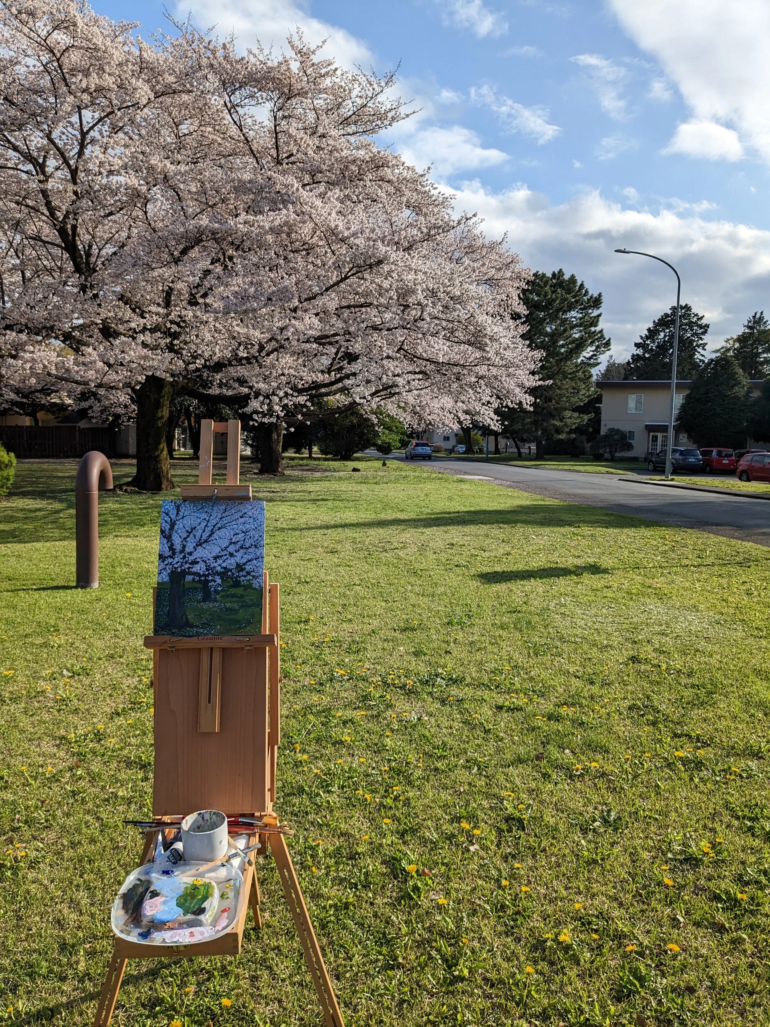 plein air painting Sakura.jpg