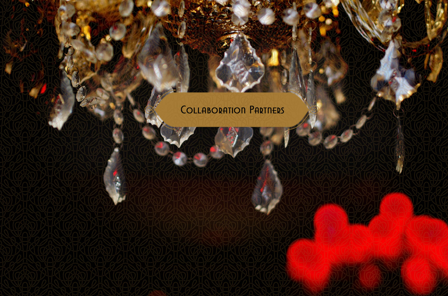 programs-partners.jpg