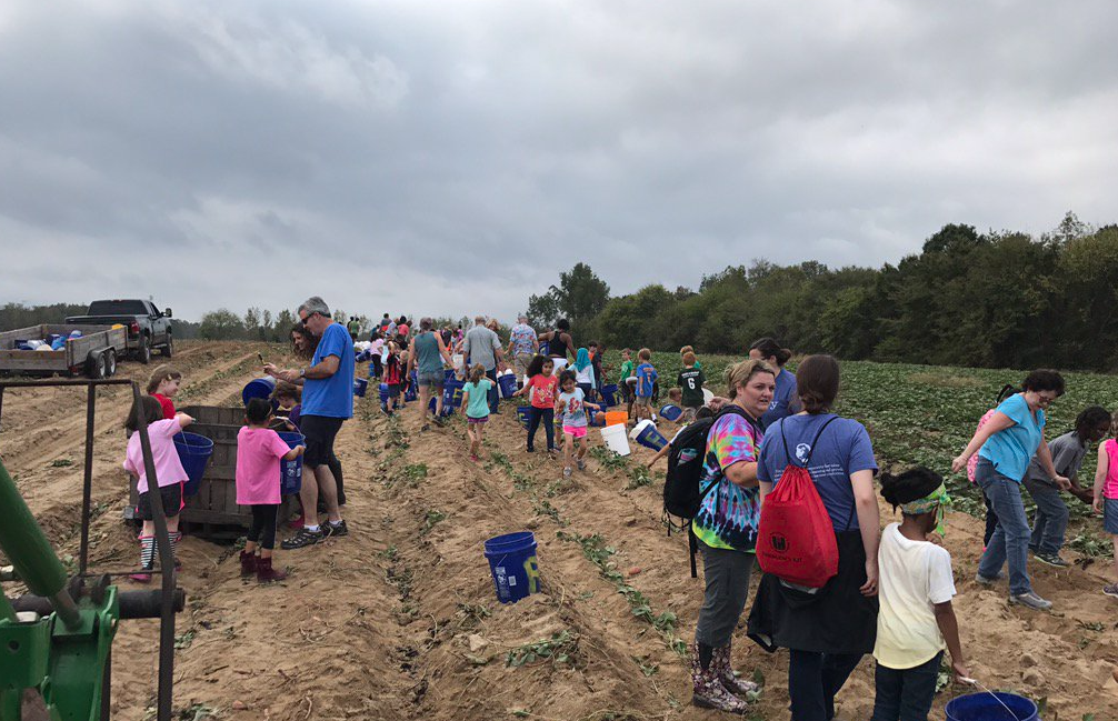 wisdom for life and first fruits farm