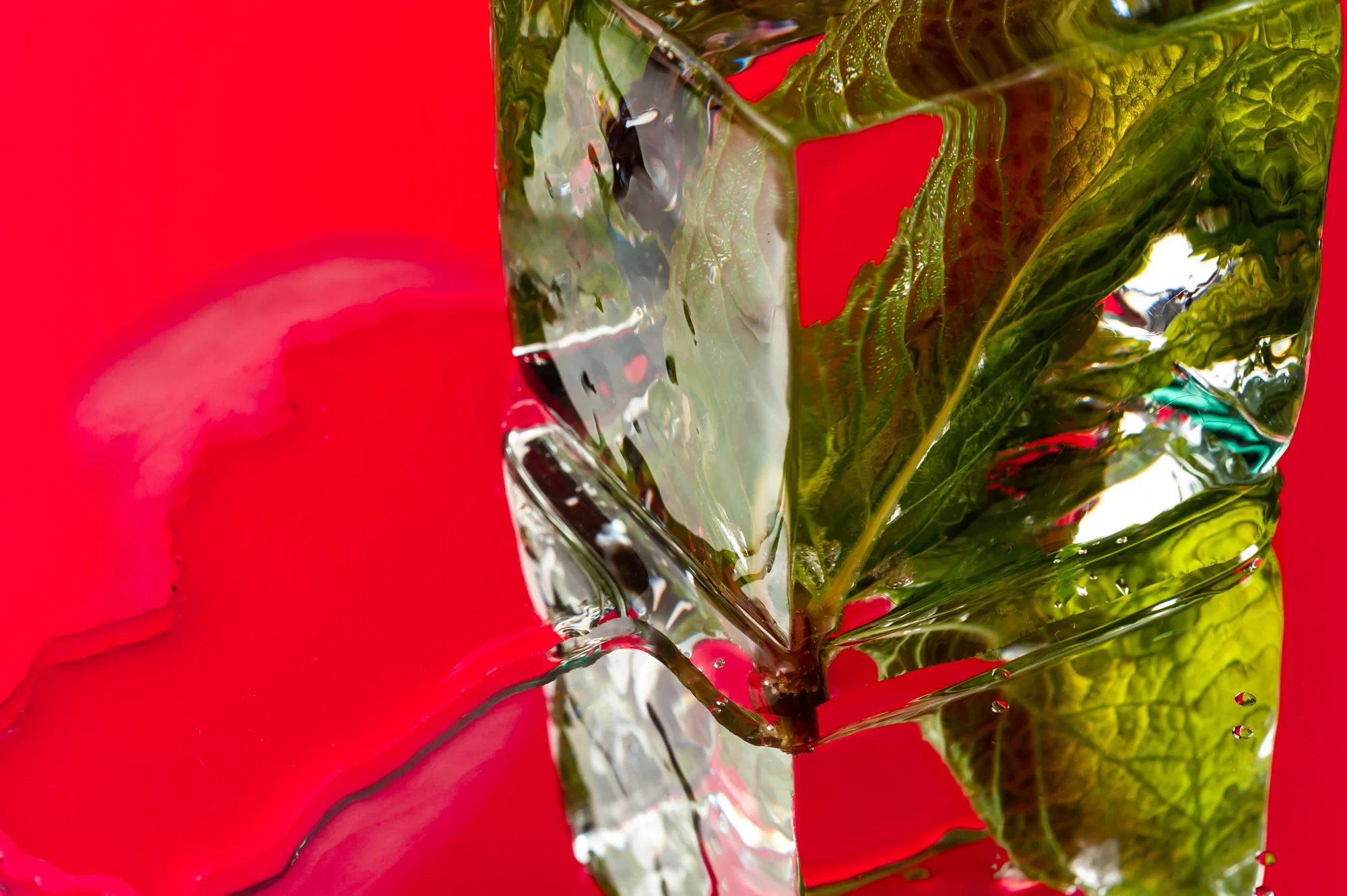 2019 03 27_Mixology Ice Shoot_WR-6288.jpg