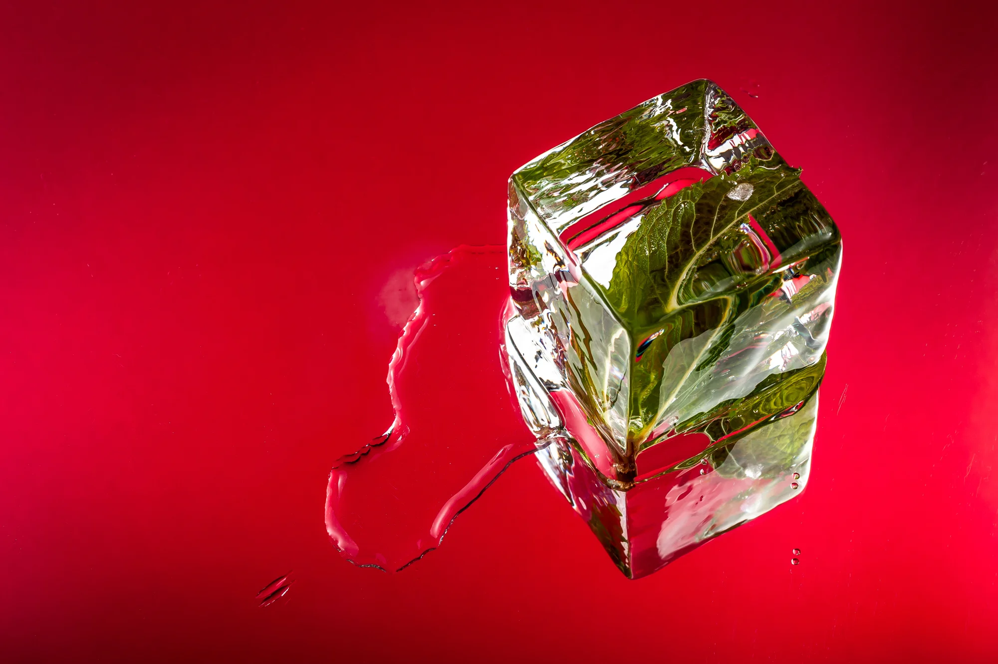 2019 03 27_Mixology Ice Shoot_WR-6309.jpg
