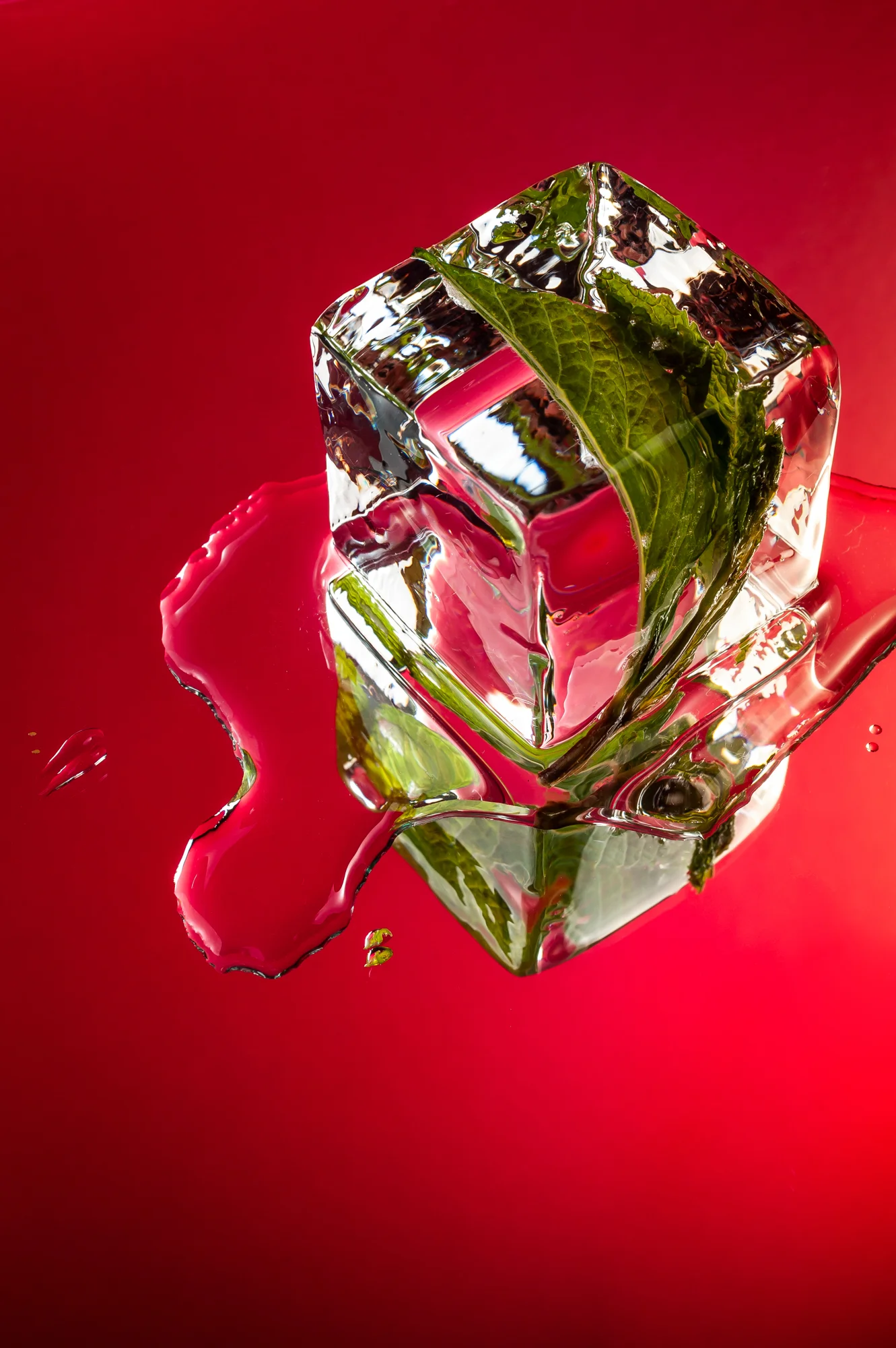 2019 03 27_Mixology Ice Shoot_WR-6327.jpg